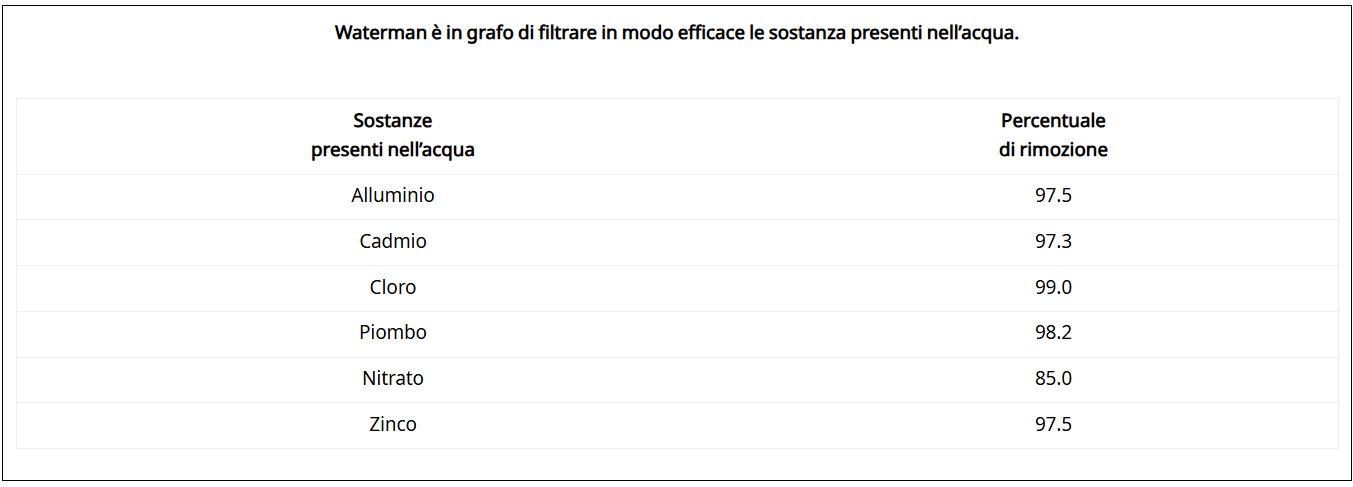 Caraffa Waterman - immagine 4